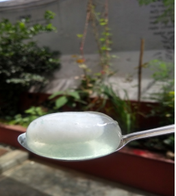 Meet the Bengaluru startup making edible water pods from seaweed!