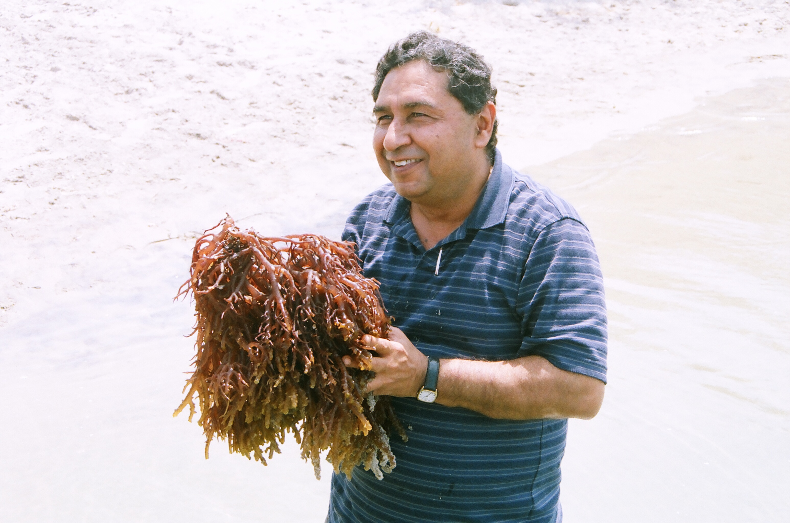 tamil nadu-seaweed-farming-fisherfolk