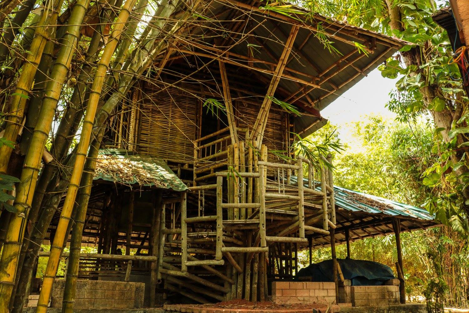 Low-cost bamboo structure. (Source: Habitat Technology Group)