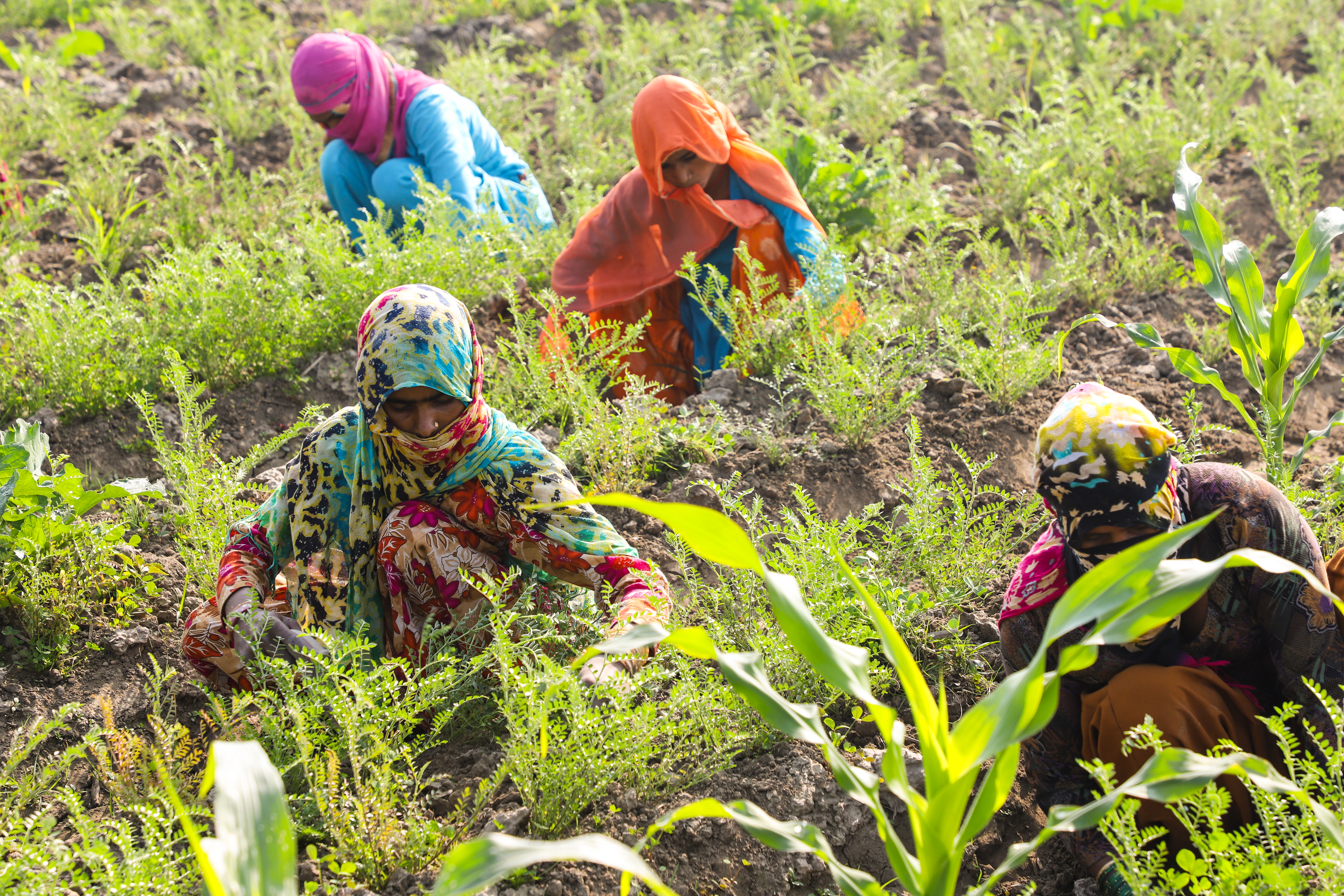 The real beneficiaries of Odisha's revamped approach to agriculture. (Source: Samagra)