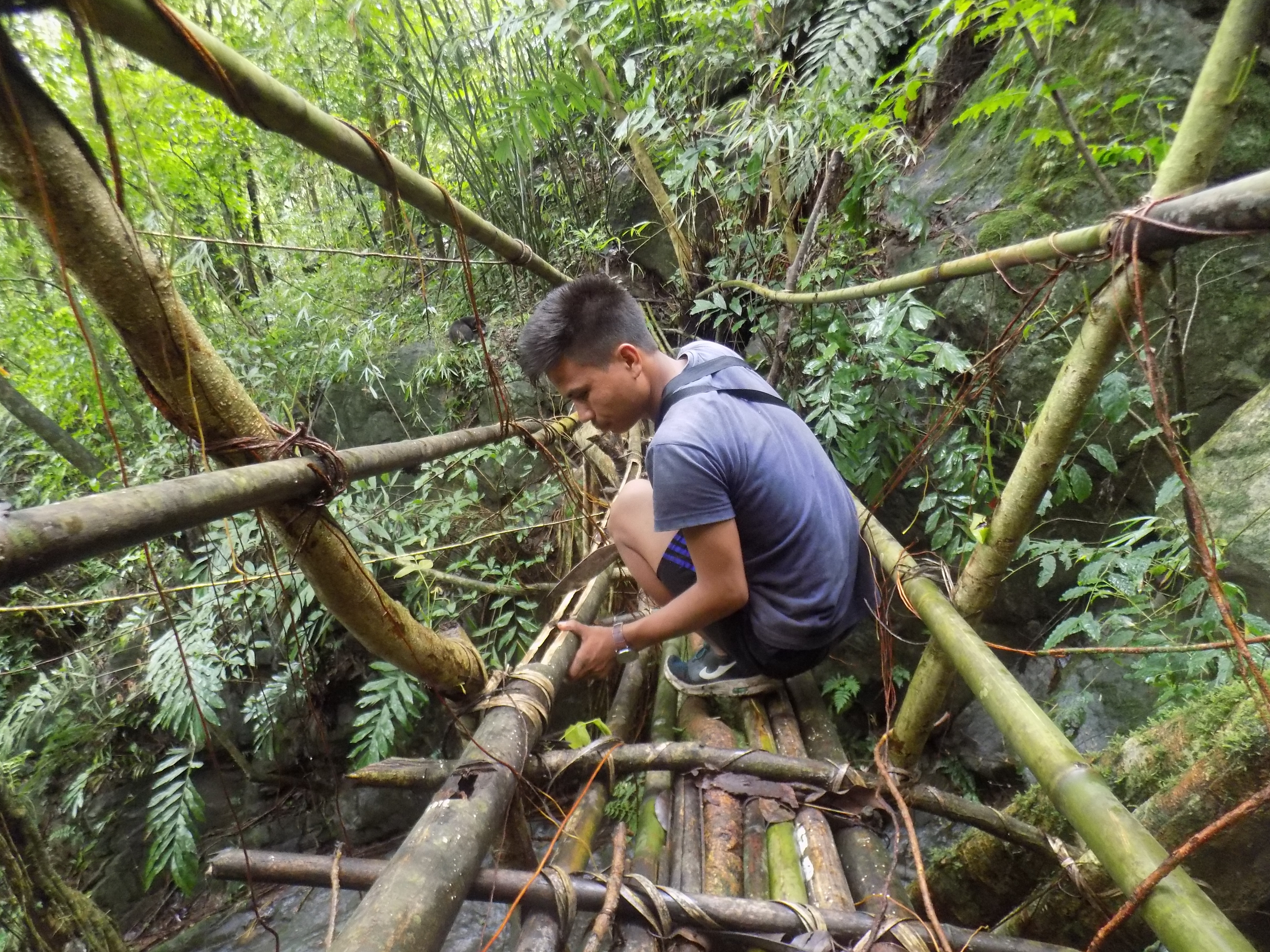 Morningstar working on a living root bridge. (Source: Facebook/Living Bridge Foundation)