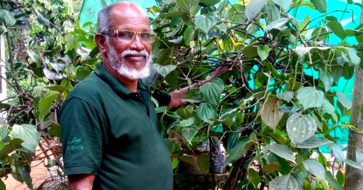 Award-Winning Kerala Farmer’s Food Forest Helps Him Reap Gold From Black Pepper!