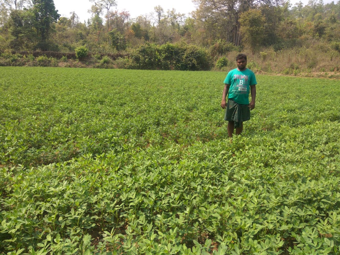 At Hitasara Village, Nakideul Block, Sambalpur district. (Source: Samagra)