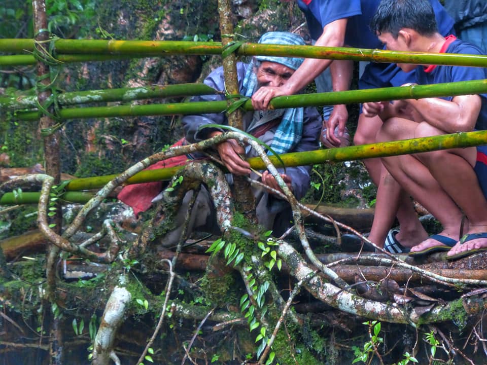 An elderly citizen assisting with the maintenance of living root bridge, (Source: Facebook/Living Bridge Foundation)