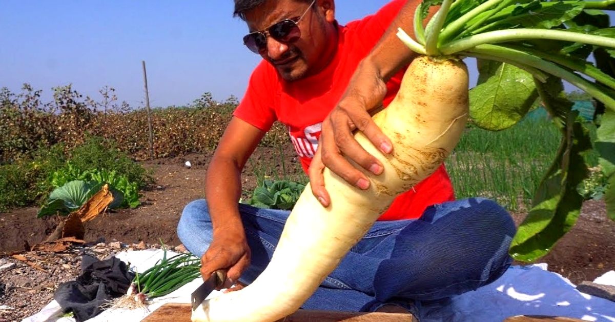 Farmer’s Son’s Love for Food Creates ‘Farm to Fork’ Youtube Channel, Bags Million Views