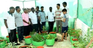 Have a Zero Waste Home in Trichy? You Can Bag Rs 1 Lakh in Insurance, Vouchers!
