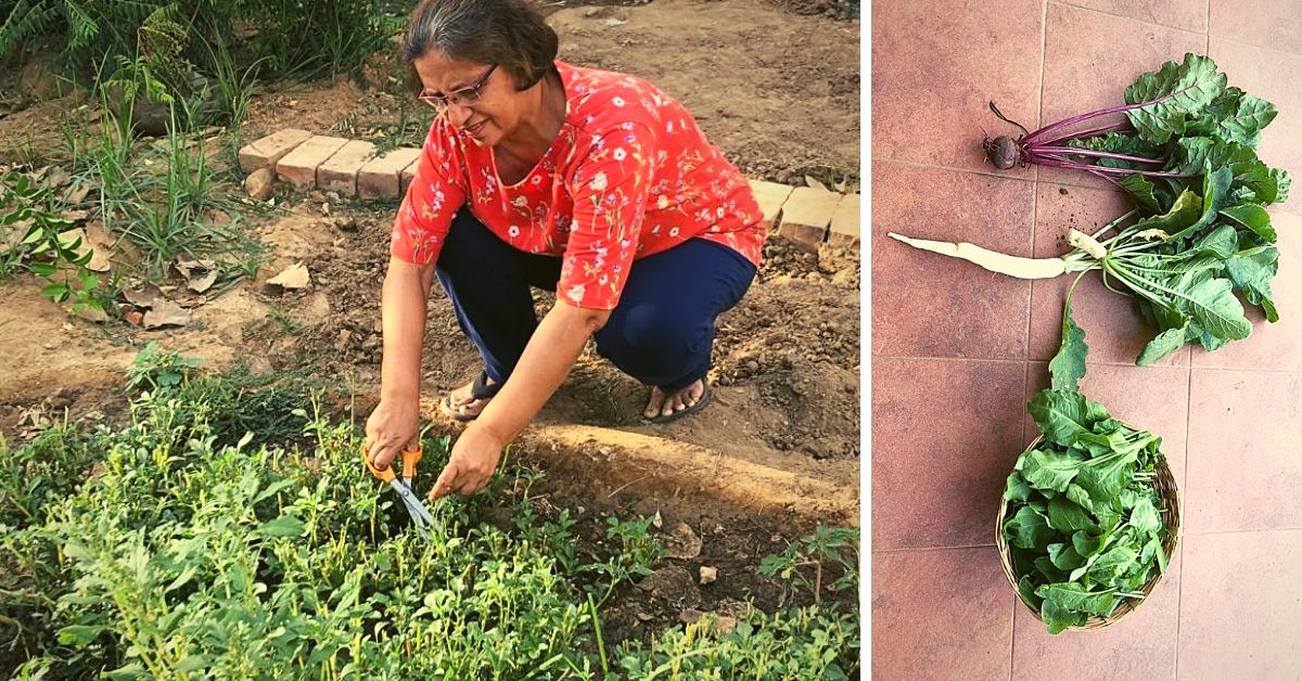 Zero Waste to Organic Food: Ahmedabad Lady’s Toxin-Free Home Will Inspire You!