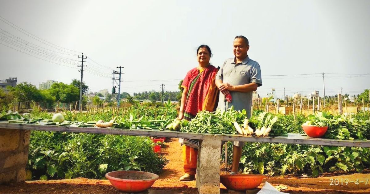 Retd Mysuru Techie Spends Lakhs to Create 14,000 Sq Ft Organic Garden For All!