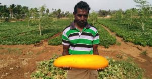 Engineering Dropout to Organic Farmer Growing 300+ Native Veggies: TN Man's Inspiring Story!