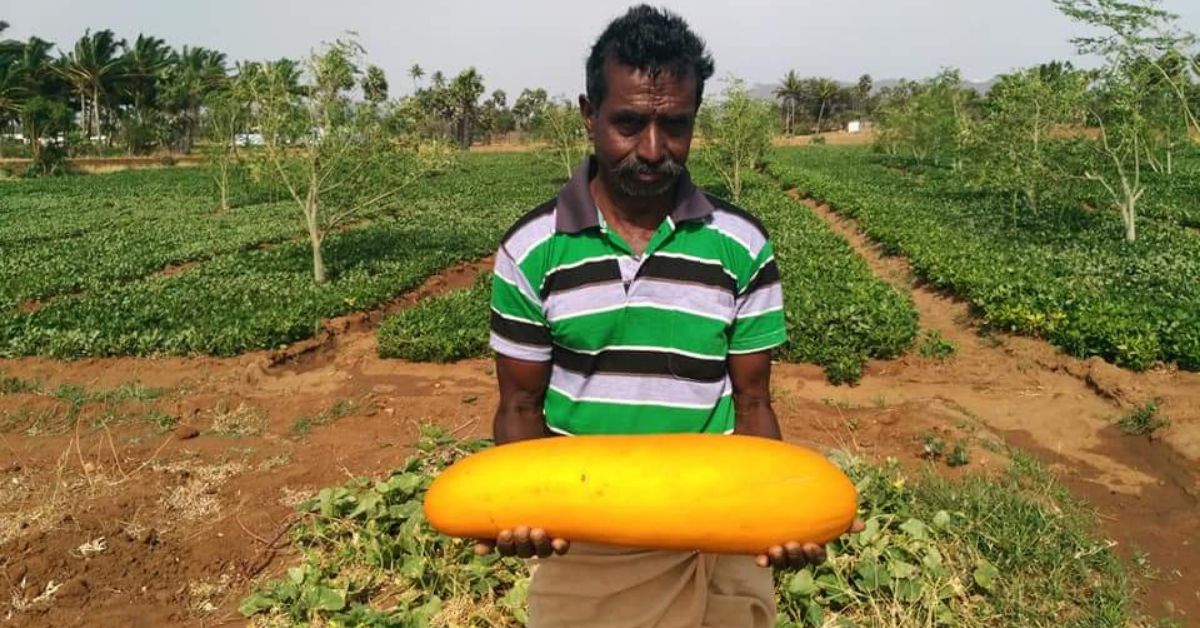 tamil nadu organic farmer engineering dropout career inspiring india