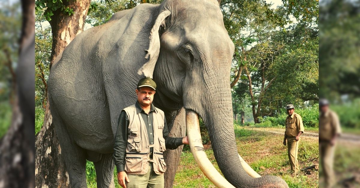 32 Years Without a Weekend Off: This Elephant Doctor Treats 700+ Jumbos Every Year!