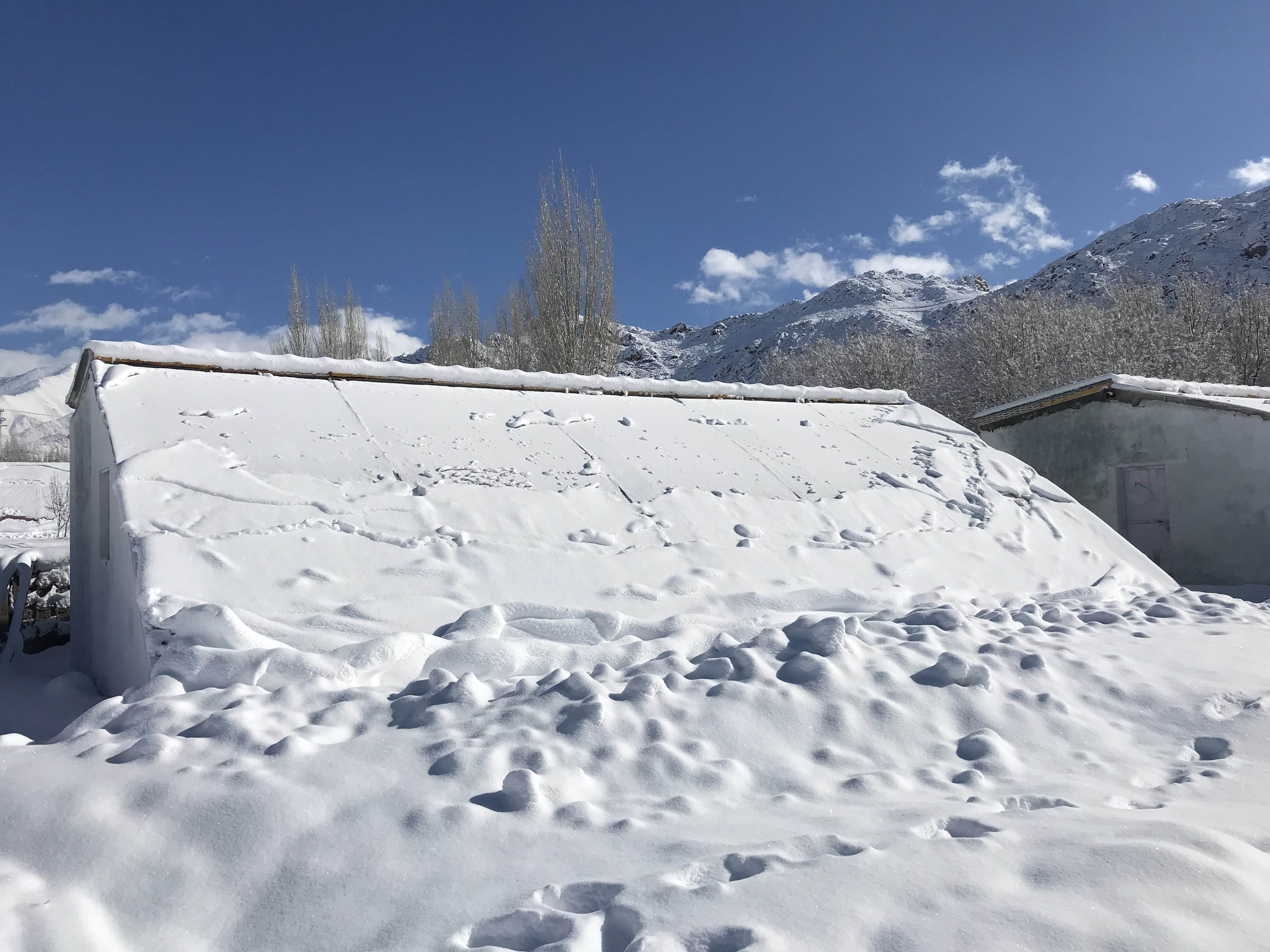Passive solar greeenhouse covered in snow during the winter. (Source: Dr Tsering Stobdan)