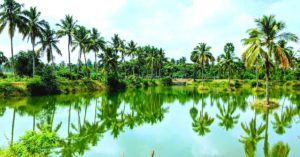 One Man's Efforts Ensured That This TN Village Doesn't Rely on Borewells Anymore!