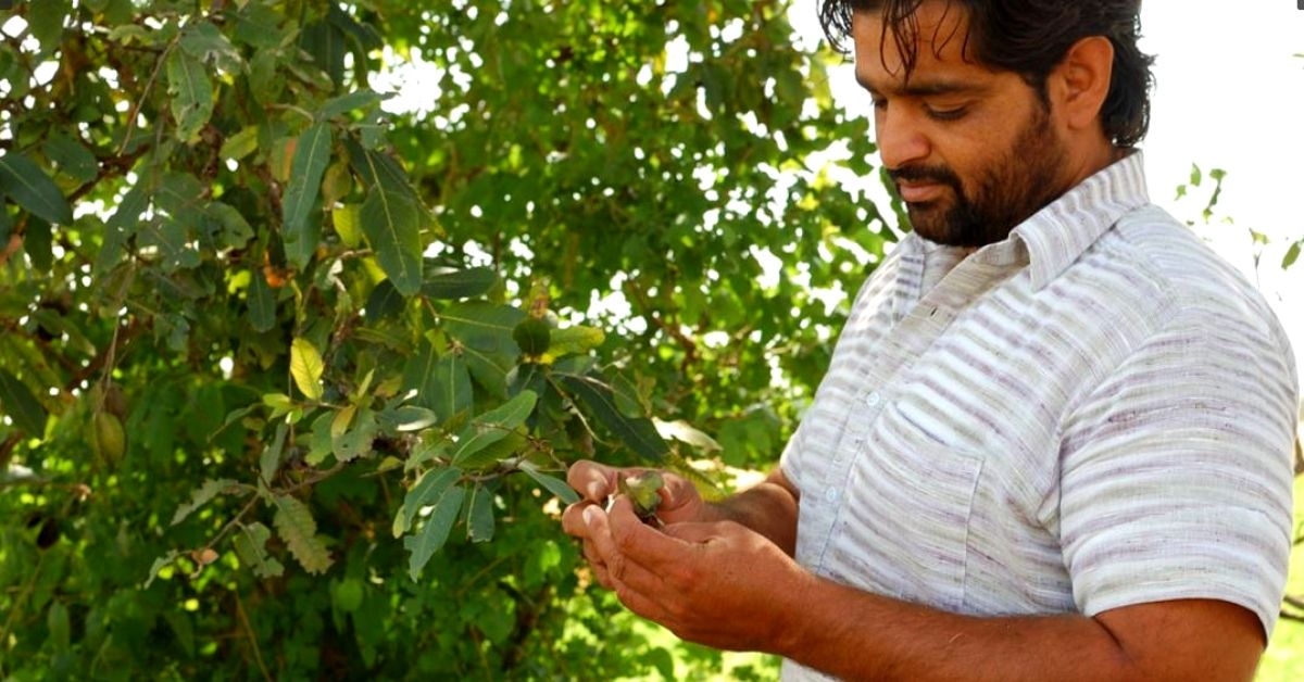 Mom's Cancer Makes Farmer Go Organic, Grows Chemical-Free Food & Saves 60% Water