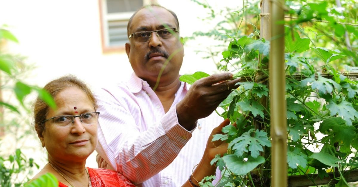 500 Pots, 40 Varieties, 0 Chemicals: Hyderabad Couple Turn Terrace into Lush Organic Farm!
