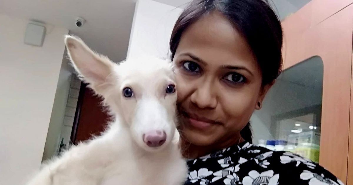 Delhi Woman Raises Rs 1 Lakh to Save Stray Pup, Finds Him a Loving Home in USA!