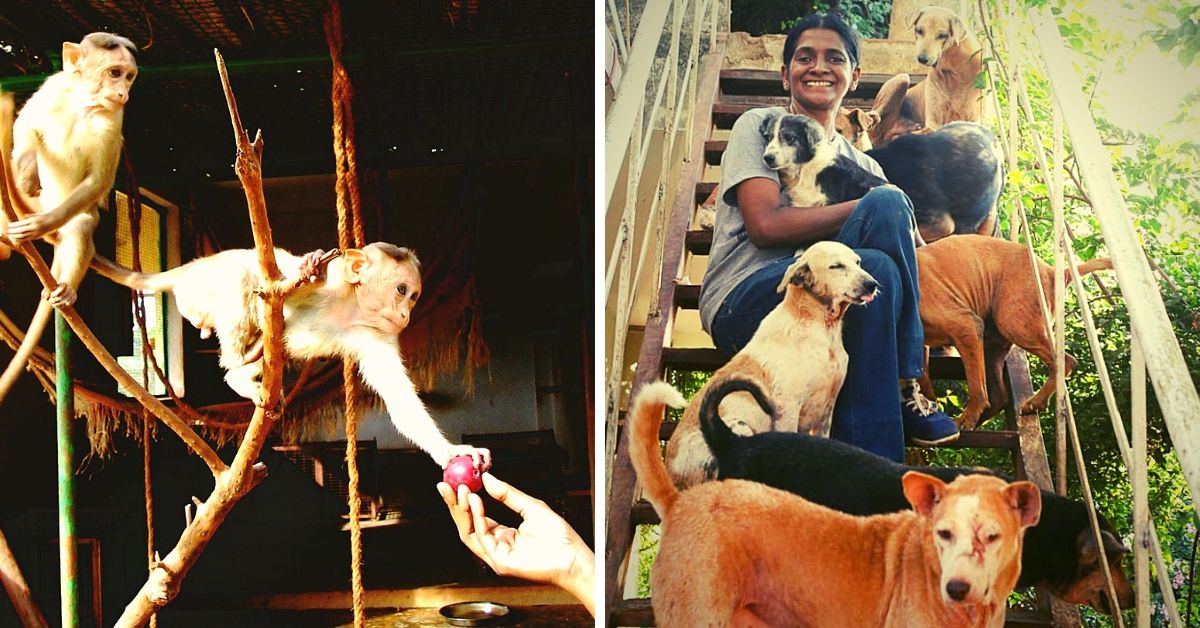 Rescued From Euthanasia & Abuse,Woman Gives 800+ Animals A Home!