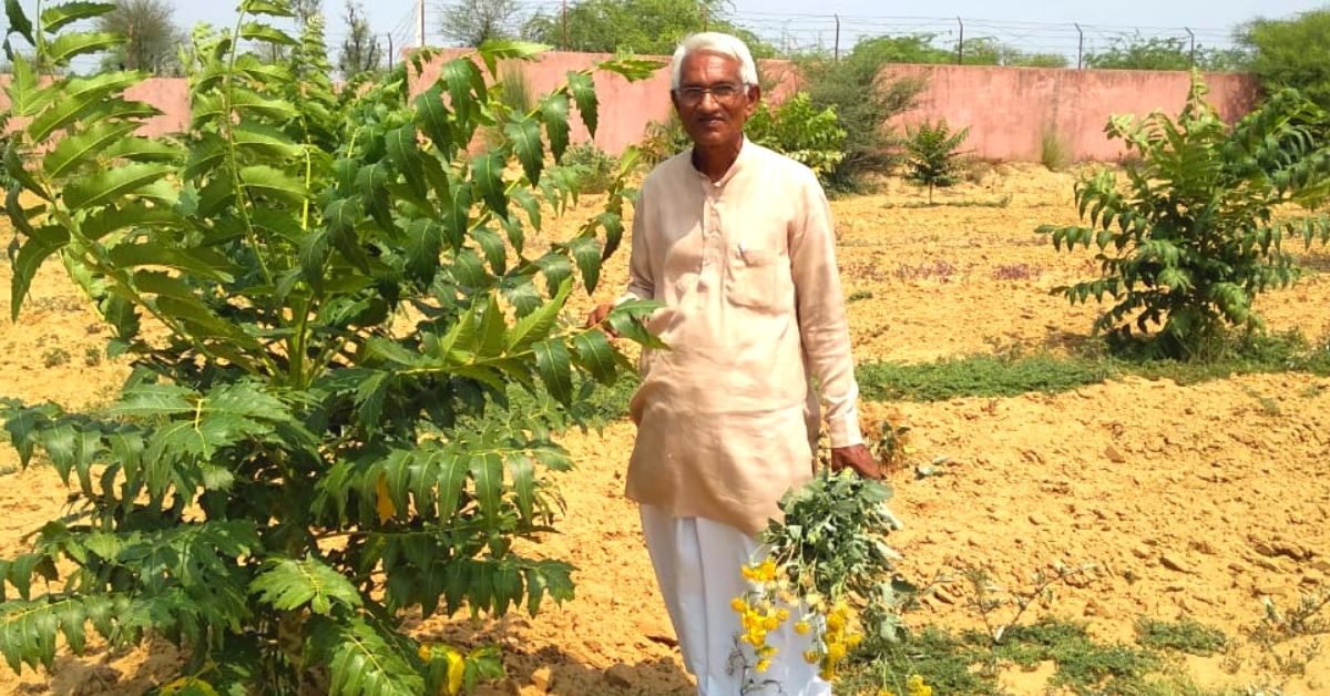 Can a Tree Grow with Just 1 Litre of Water? This 68-YO Farmer Has Grown 50,000!