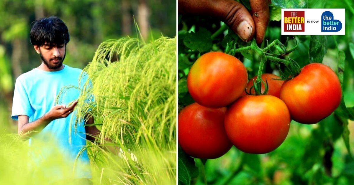 Taking up Organic Farming at 13, Kerala Student Grows 50+ fruits, veggies