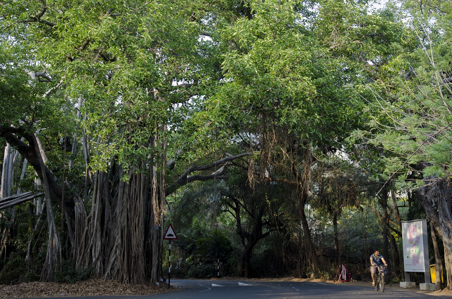 Verdant campus. (Source: Facebook/IIT Madras)