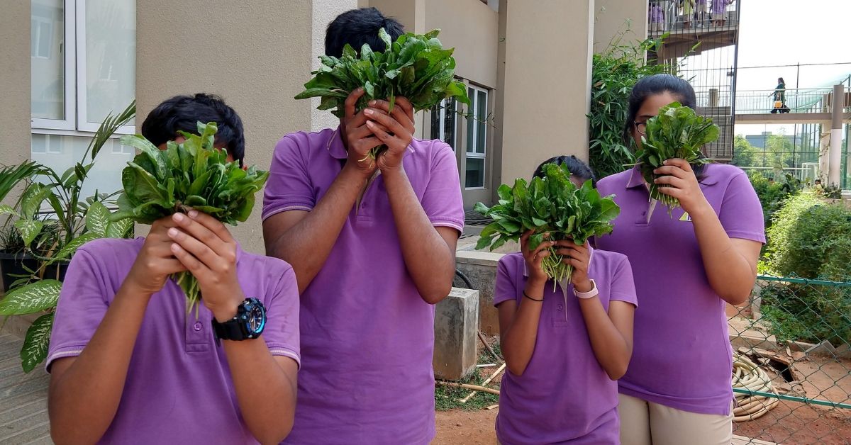 Tamil Nadu woman edible garden school organic food anganwadi india