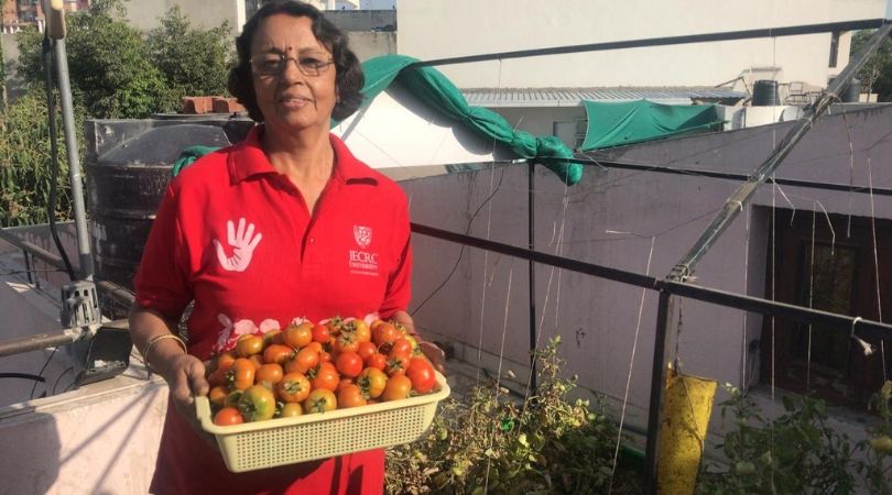 Want to Grow Food on Your Terrace? This Startup Has Helped Over 400 Homes Do So!