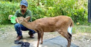 Working Tirelessly for 12 Years, Assam Man Has Rescued 5000+ Kaziranga Animals!