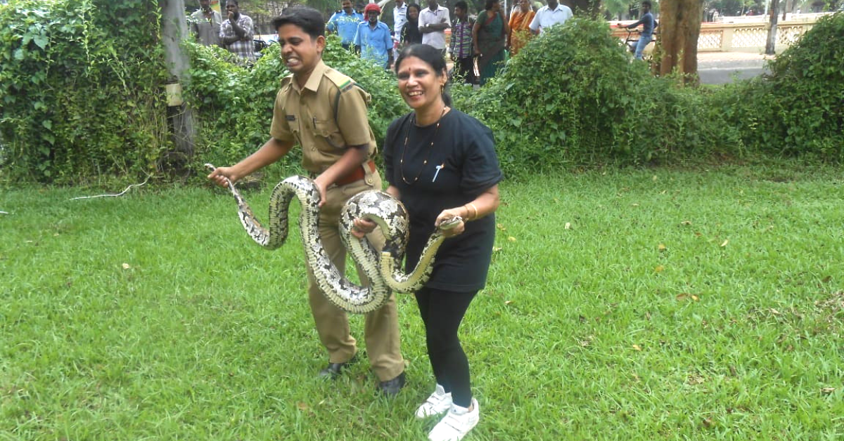 60-YO Kerala Woman Shatters Age Stereotypes, Has Rescued 1000s of Snakes!