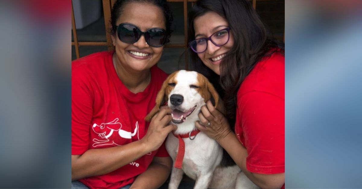 Once Caged, 465 Lab-Test Beagles Find Loving Homes – Thanks to 2 B’Luru Women!