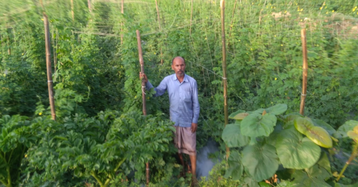 Rs 50/Day to Rs 50 Lakh/Year: Incredible Story of a Jharkhand Farmer With Barren Land