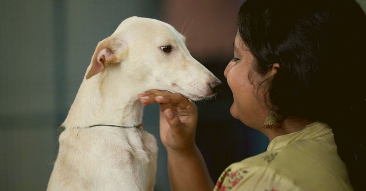 After 12K Rescues, Mumbai NGO Teams Up With TikTok To Give Doggos Forever Homes!