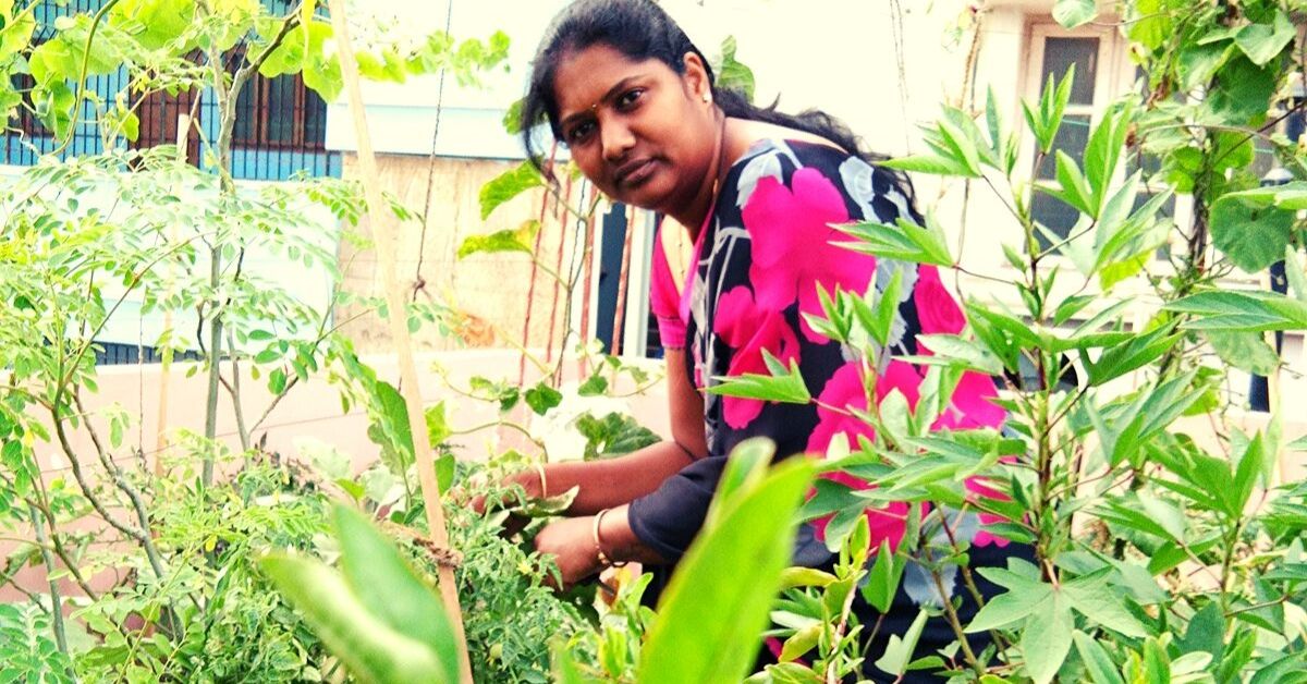 Hyderabad woman terrace garden tips neem grow organic vegetables India