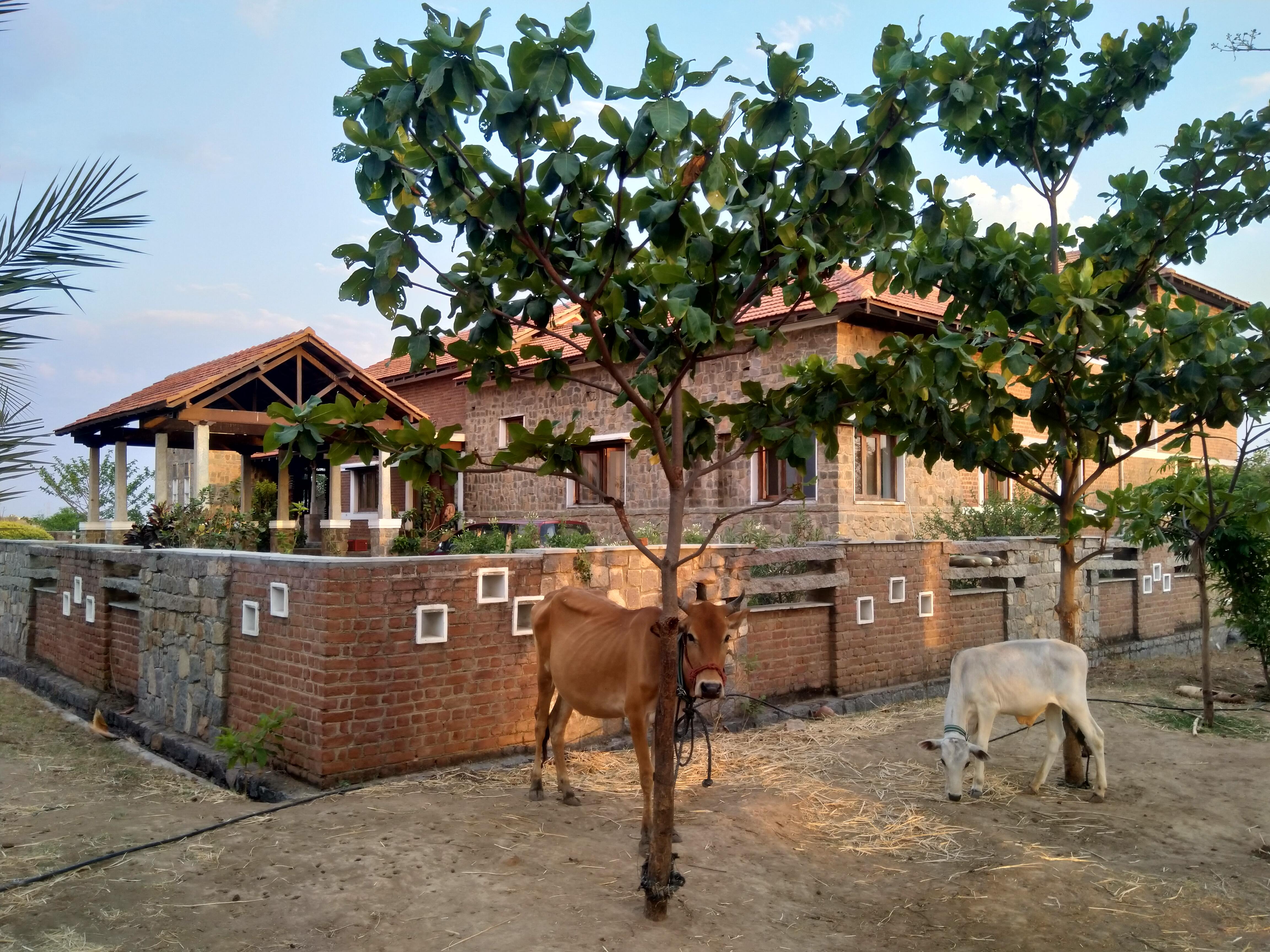 Telangana sustainable home UK couple grow food forest inspiring india