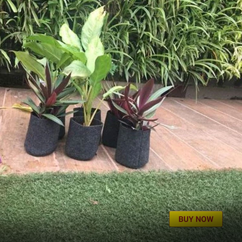 9 Easy Steps To Pot a Plant Perfectly & Grow a Home Garden!