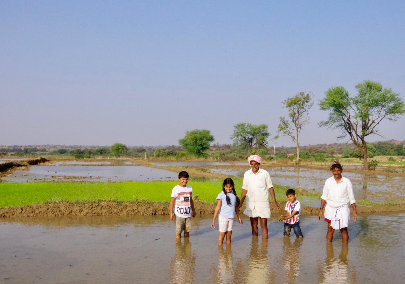 Telangana couple zero budget natural farming organic mango navara rice india