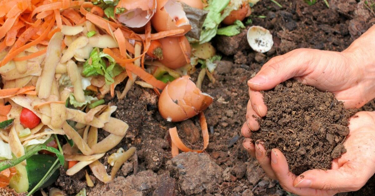 Transform Your Kitchen Waste into a Rich Compost for Just Rs 600!