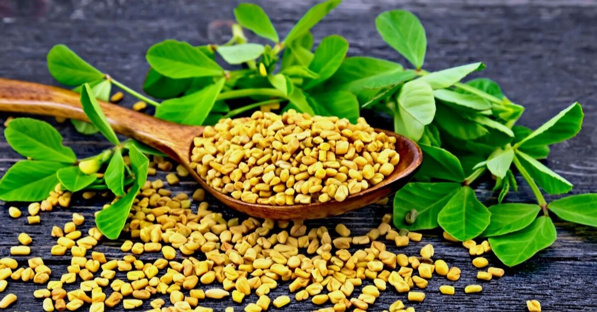 Fenugreek Seeds: 5 Ways to Infuse Health into Your Skin, Hair & Body!