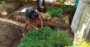 Power From Wind, Water From Rain: Pune Society Blazes a Green Trail!