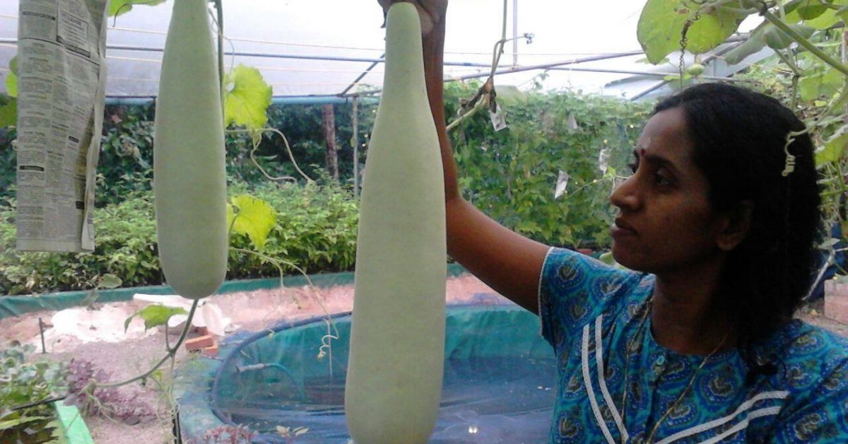 Kerala Mom Runs Unique Aquaponics Farm In Backyard, Wins State Award!