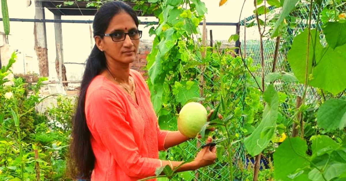 Andhra Lady Upcycles Waste Into Planters, Grows 30+ Veggies on Her Terrace