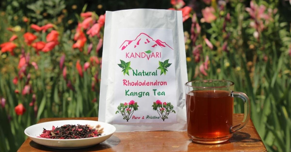 Packed with Antioxidants & Boosters, Jumpstart Your Day with This Rhododendron Tea