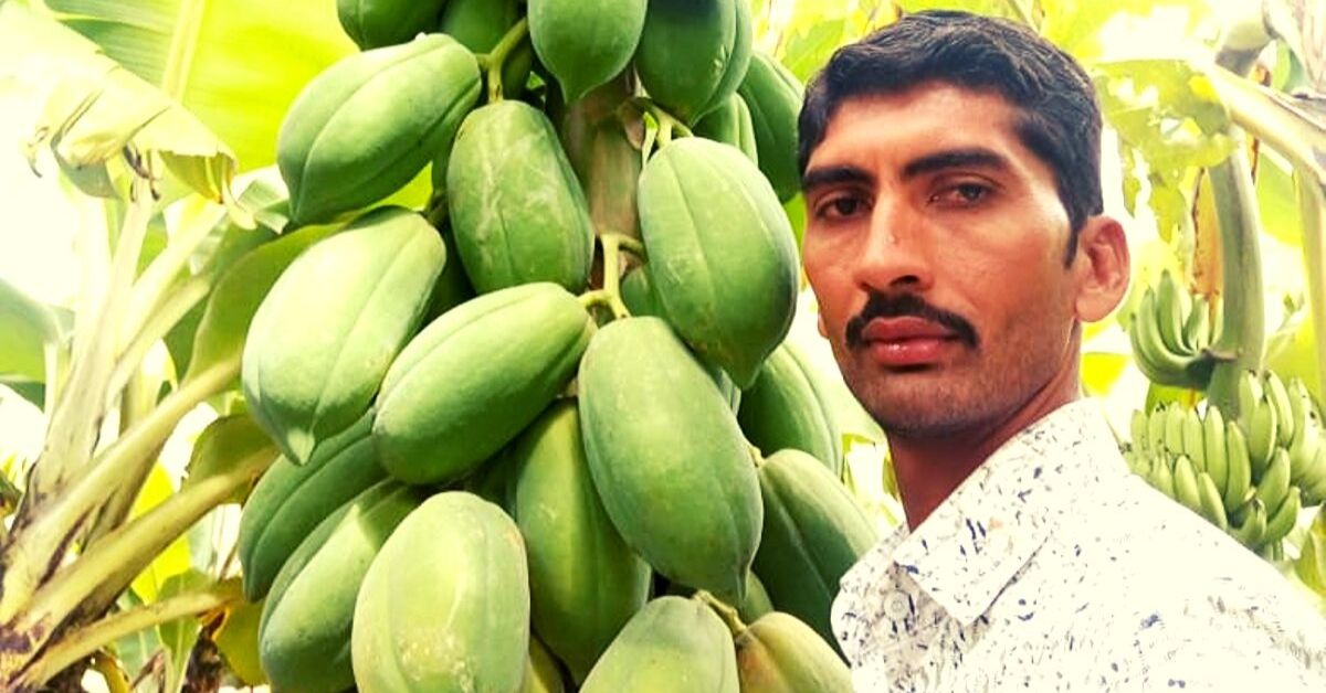Zero-Budget Natural Farming Doubles Gujarat Farmer’s Income In Just 6 Months!