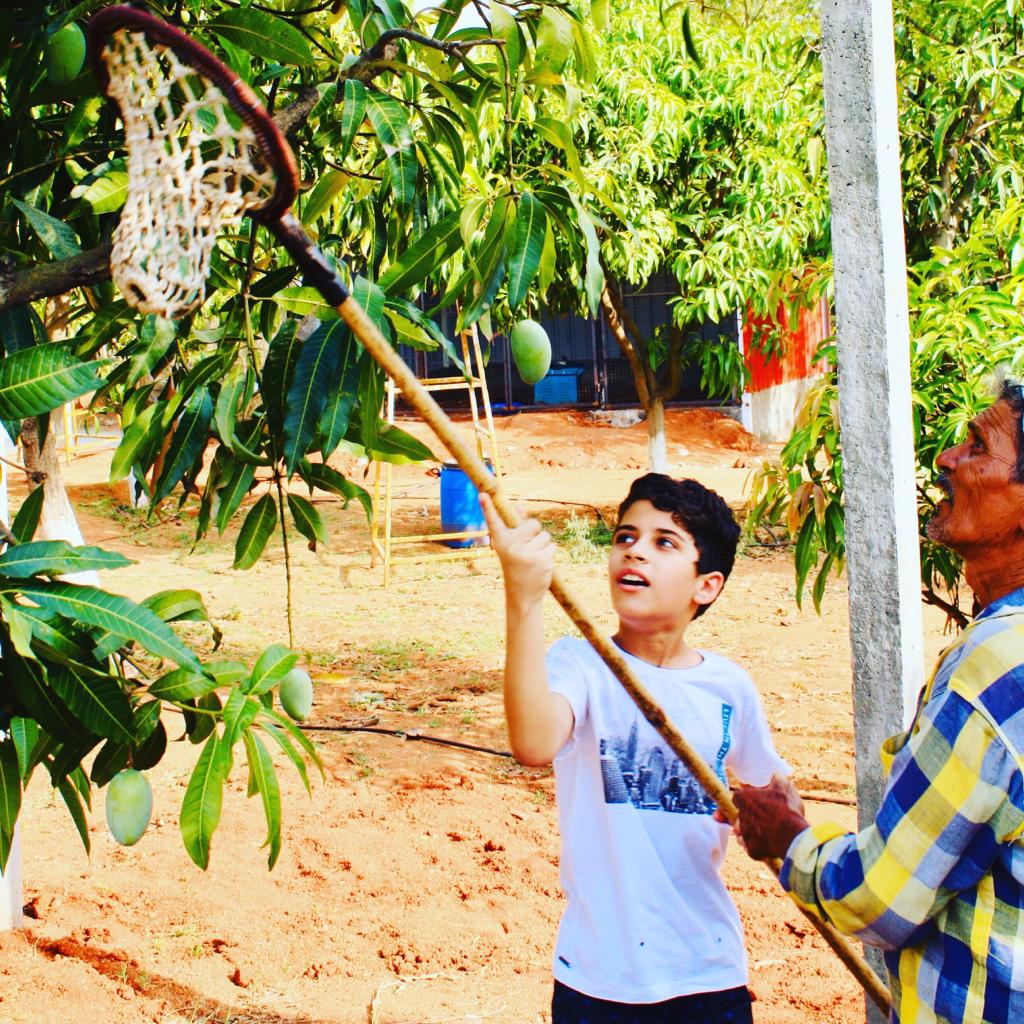 telangana Family turn land fruit forest organic mango sustainable workshop india