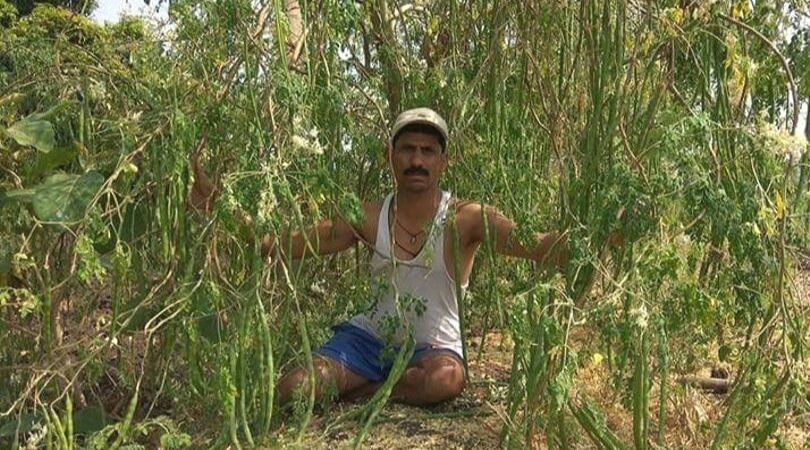 These Maharashtra Farmers Are Earning Lakhs By Growing a Desi Superfood!