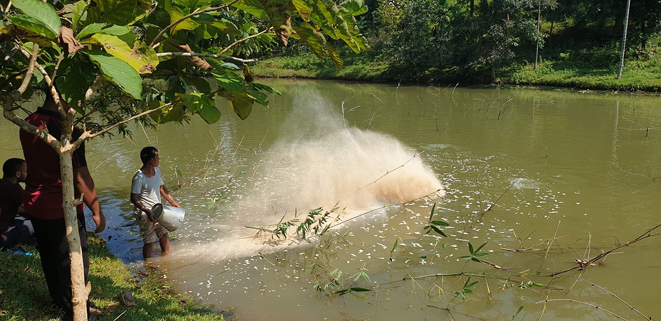 Rithson Marak at work on his fish pond. 