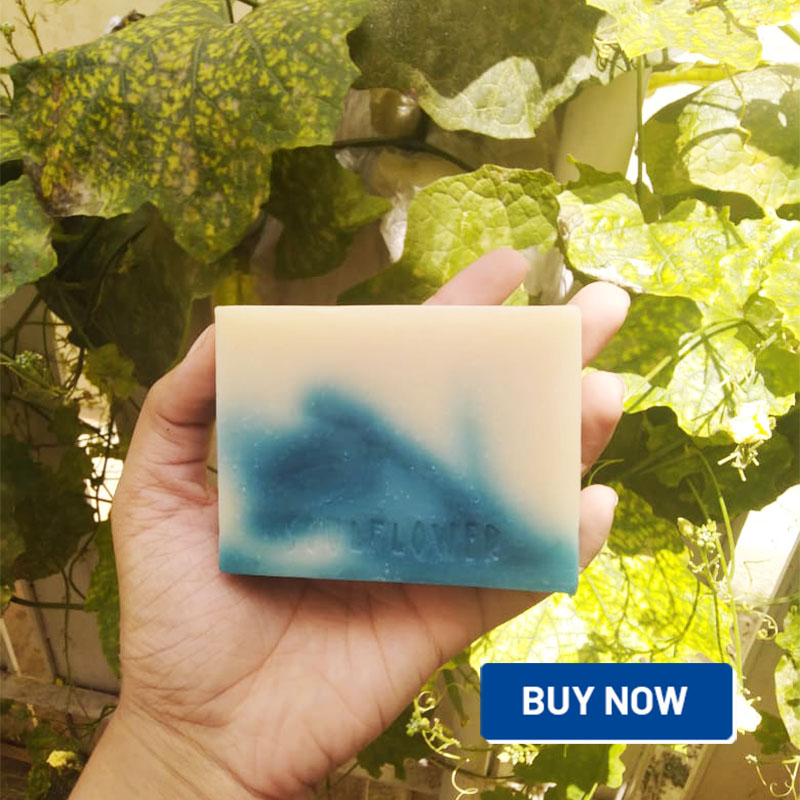 Plastic Free But Good For Hair Here S What I Found About Shampoo Bar Plastic Free But Good For Hair Here S What I Found About Shampoo Bar