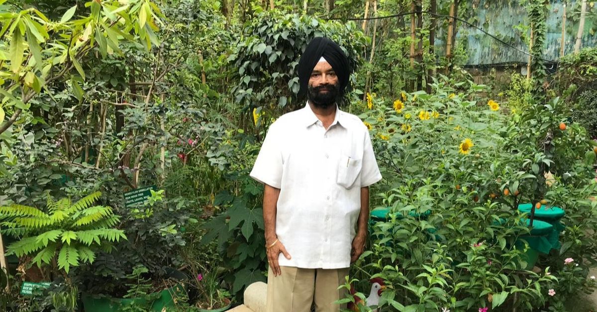 Grown Over 35 Years, Chennai Man’s Home Forest Has 350+ of India’s Rarest Plants!