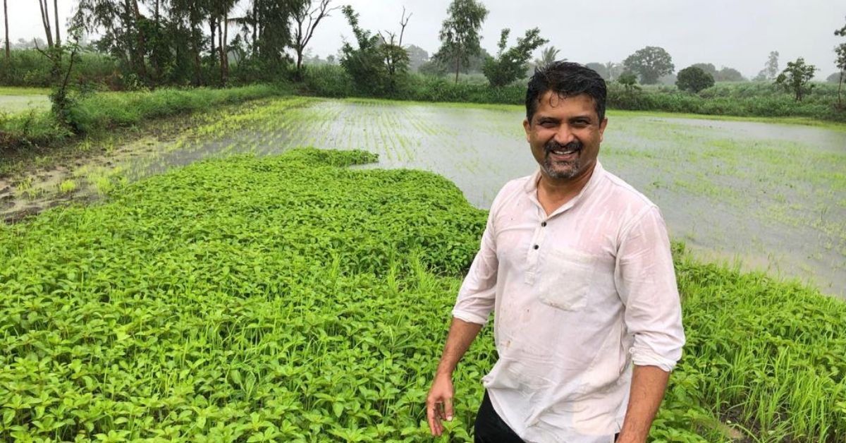 B’luru Engineer Turns Weekend Farmer, Earns Lakhs by Selling Naturally Grown Crops