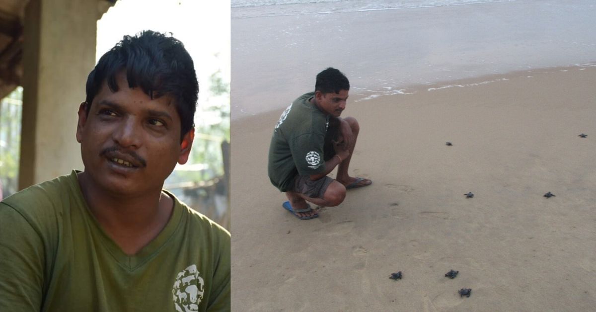 In 23 Years, This School Dropout from Odisha Has Saved Millions of Ridley Turtles