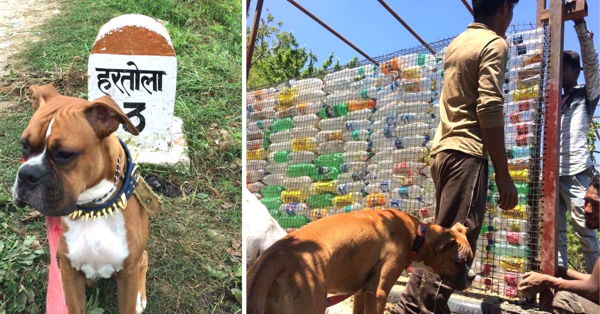 Noida Couple Builds Homestay In the Hills With 26,500 Discarded Plastic Bottles!